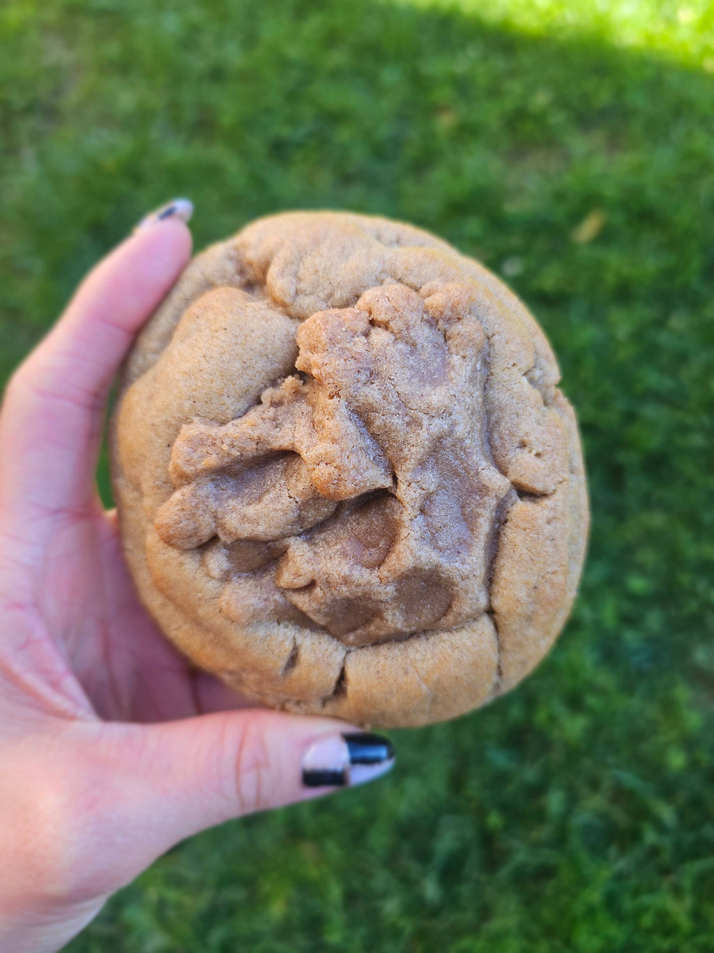 Pumpkin Crumb Cake Cookie