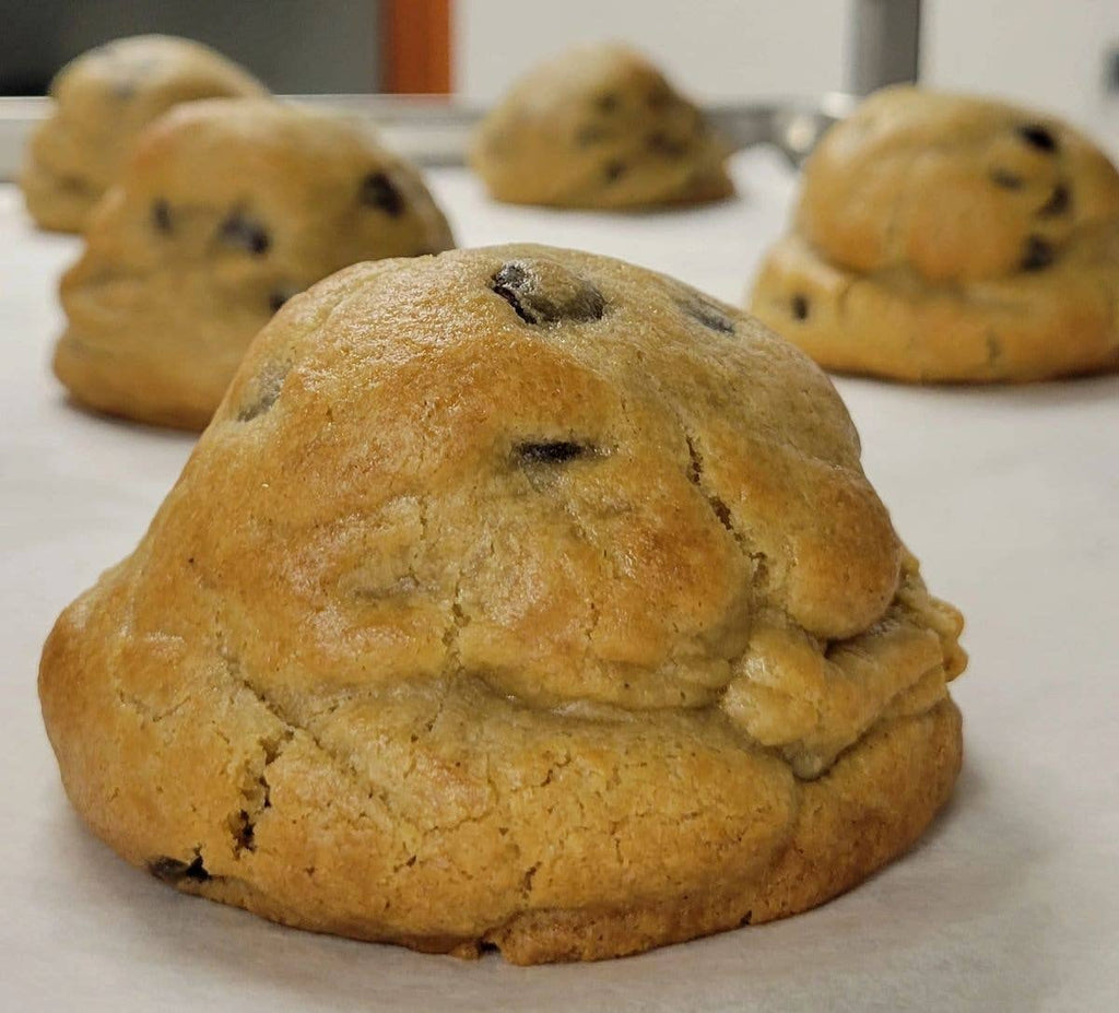 Gluten "Friendly" Chocolate Chip Cookie