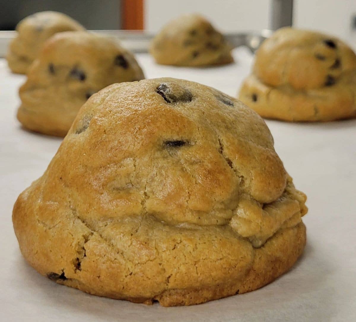 Gluten "Friendly" Chocolate Chip Cookie