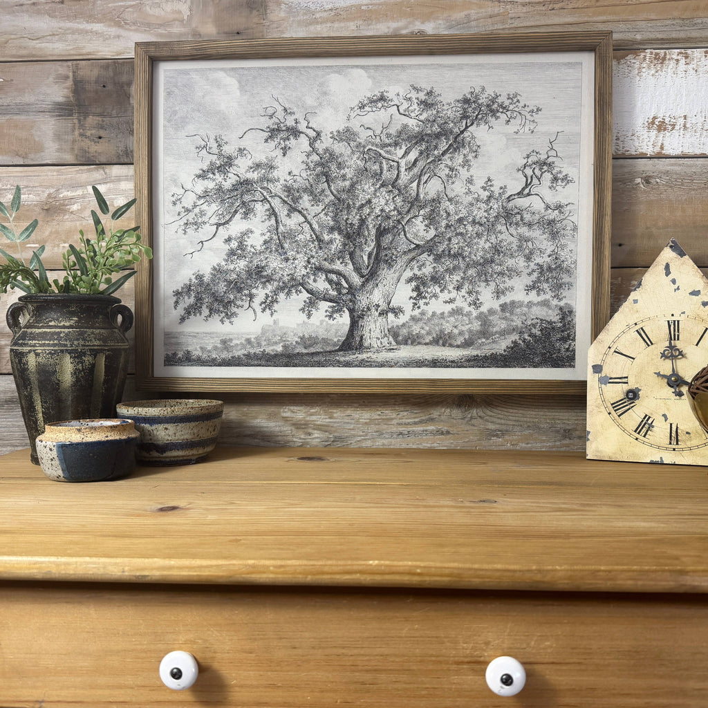 Large Old Elm Tree - Large Tree Sketch Canvas Art - Framed: 20x30" Large Canvas Art with Thick Wood Frame