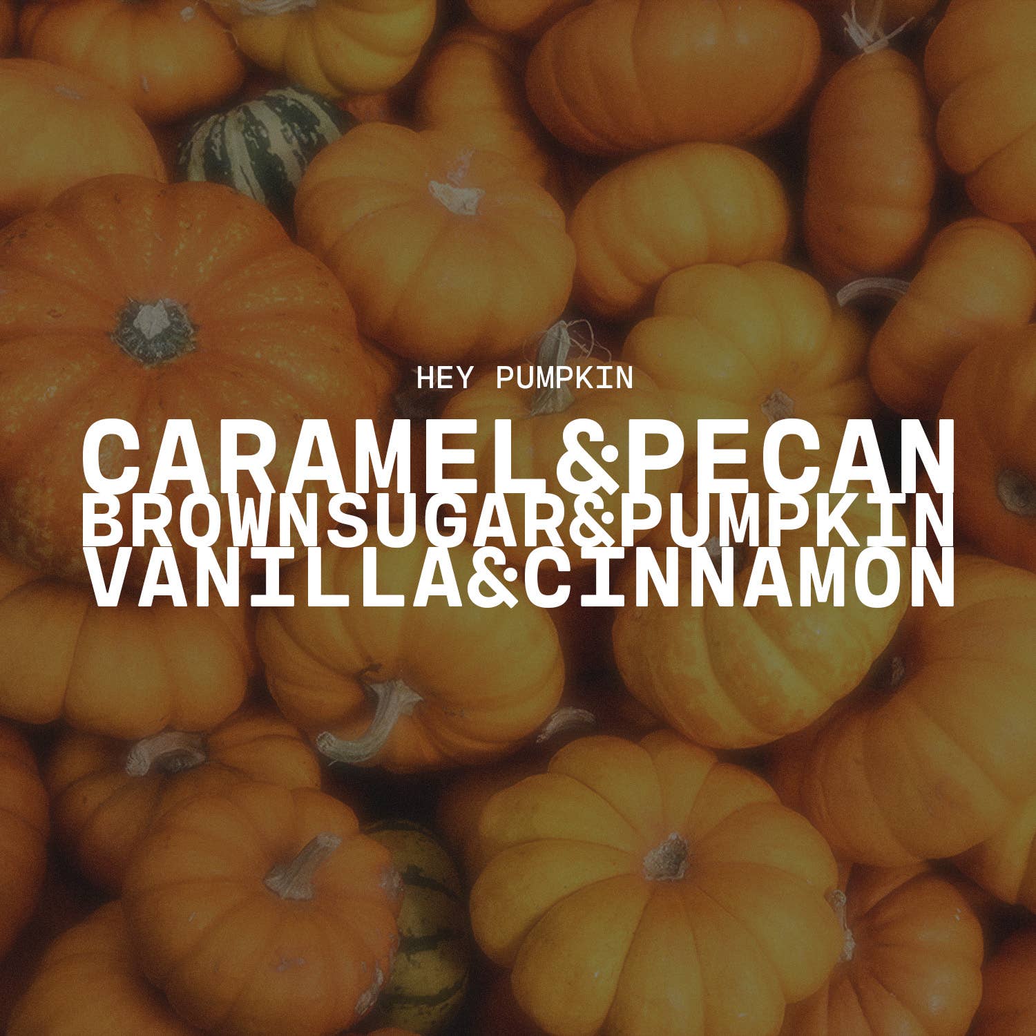5.5 oz Wax Melts: Hey, Pumpkin!