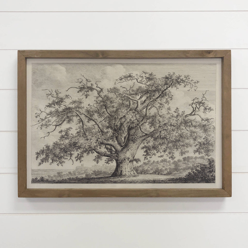 Large Old Elm Tree - Large Tree Sketch Canvas Art - Framed: 20x30" Large Canvas Art with Thick Wood Frame