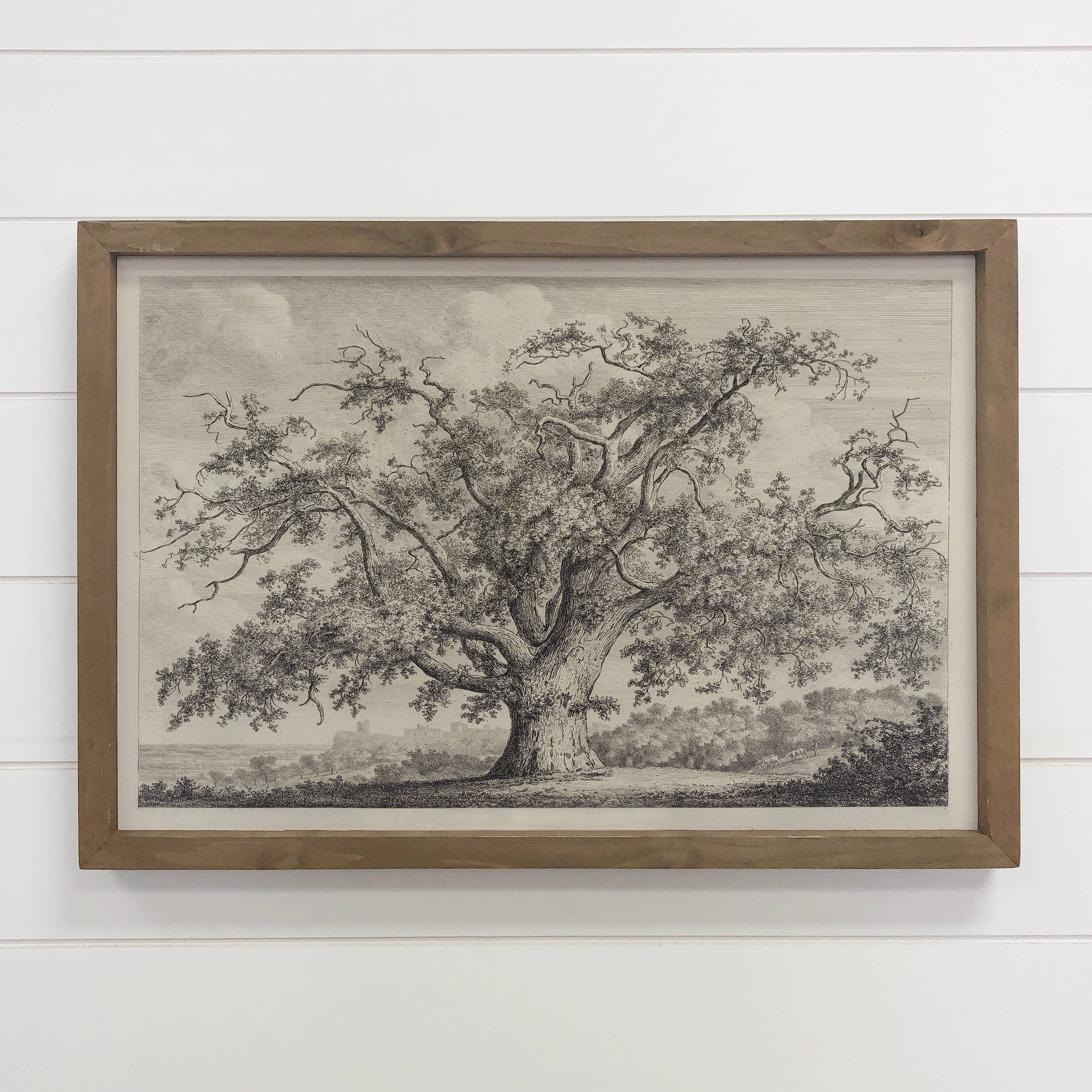 Large Old Elm Tree - Large Tree Sketch Canvas Art - Framed: 20x30" Large Canvas Art with Thick Wood Frame