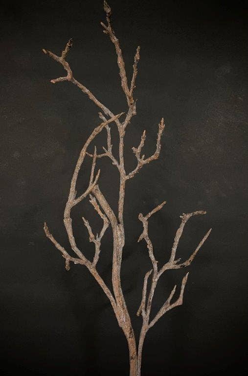 FAUX BRANCH