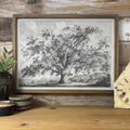 Large Old Elm Tree - Large Tree Sketch Canvas Art - Framed: 20x30" Large Canvas Art with Thick Wood Frame