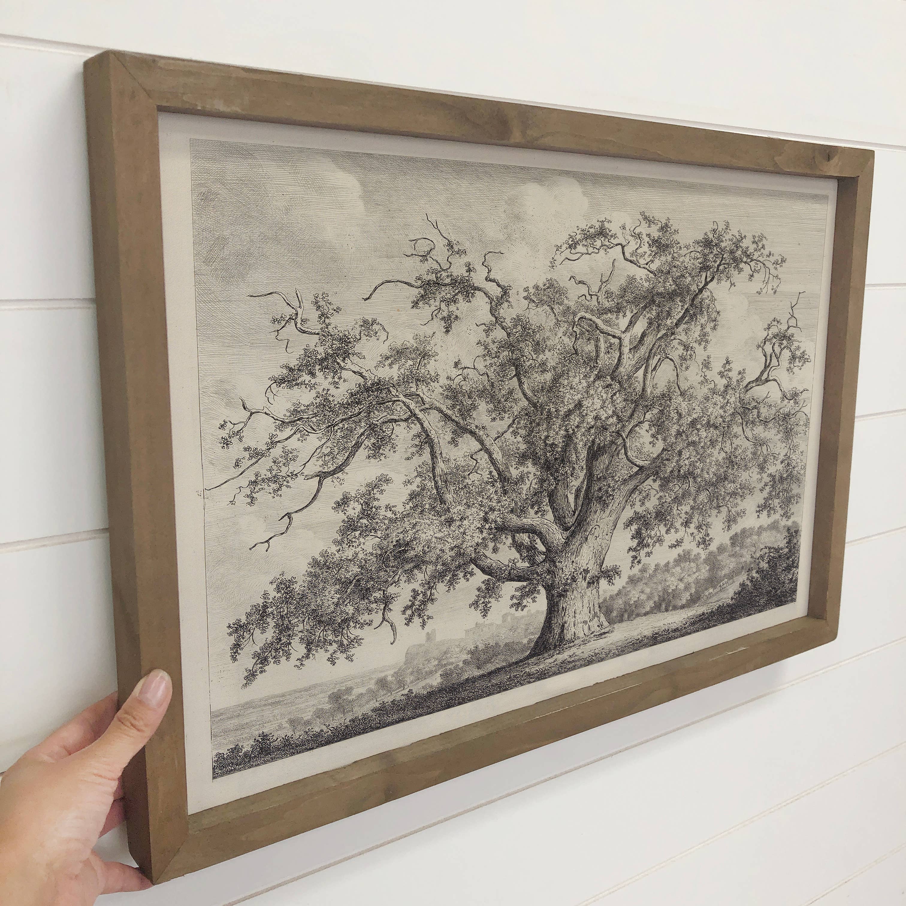 Large Old Elm Tree - Large Tree Sketch Canvas Art - Framed: 20x30" Large Canvas Art with Thick Wood Frame