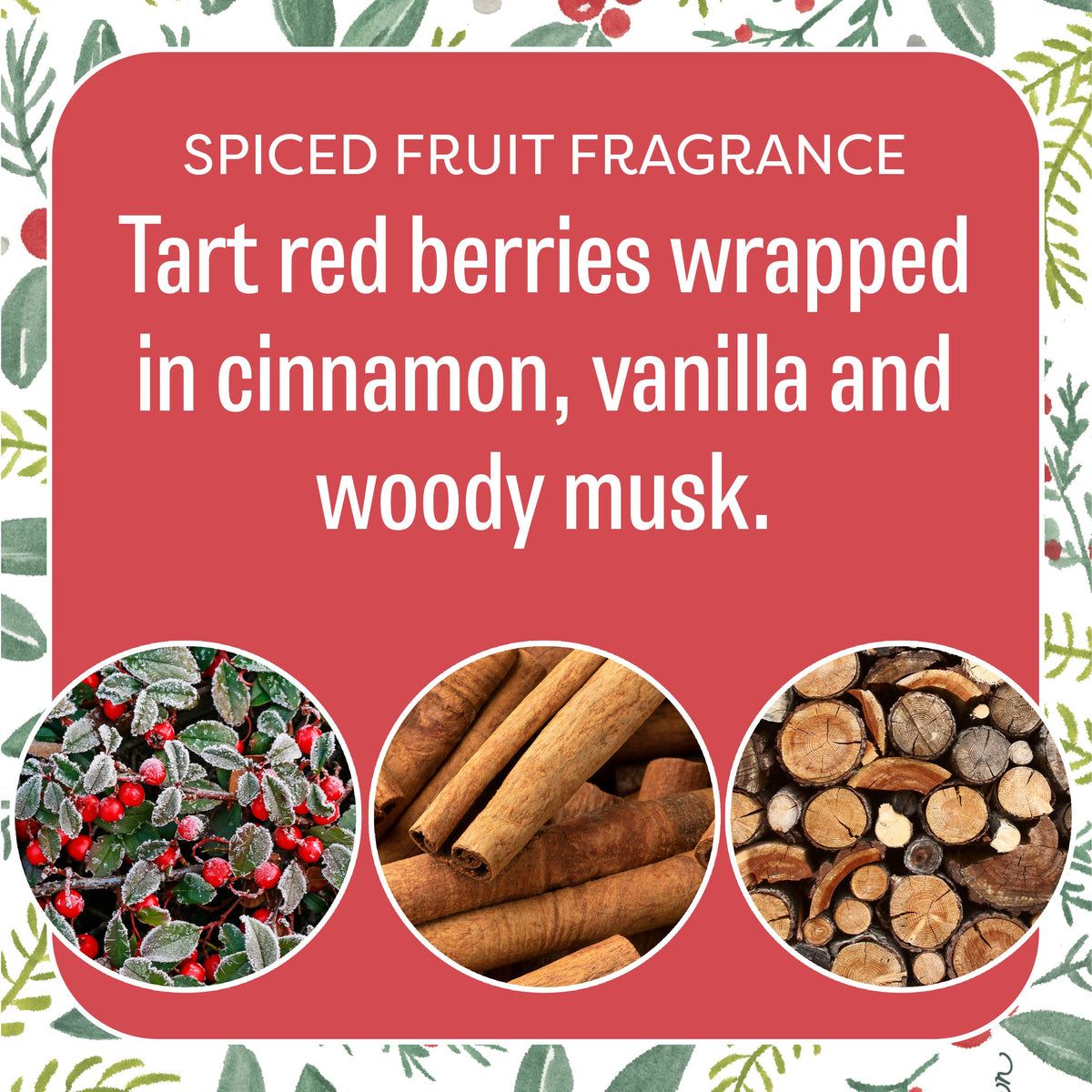 Fresh Scents | Be Merry Sachets | Holiday, Christmas