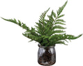 Fern Jar